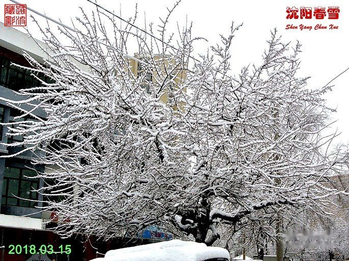 查看照片详细信息 天下民宿