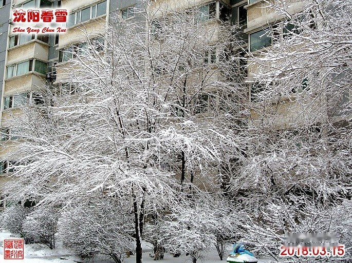 查看照片详细信息 天下民宿