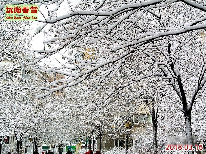 查看照片详细信息 天下民宿