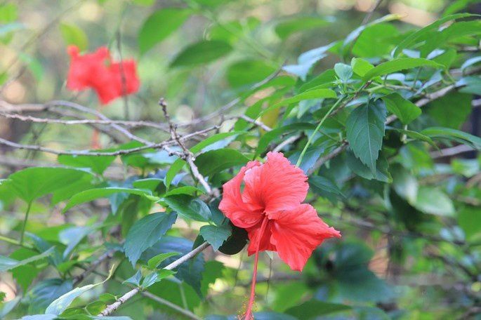 查看照片详细信息 天下民宿