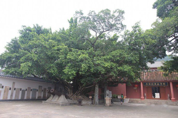 查看照片详细信息 天下民宿