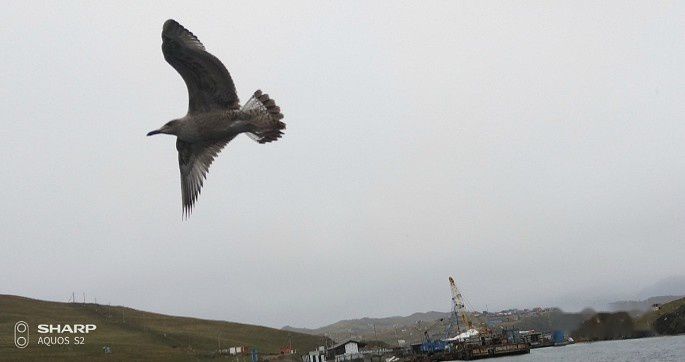 查看照片详细信息 天下民宿
