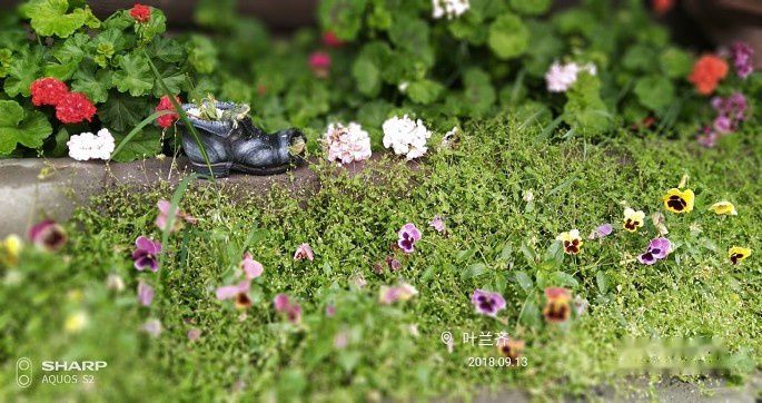 查看照片详细信息 天下民宿