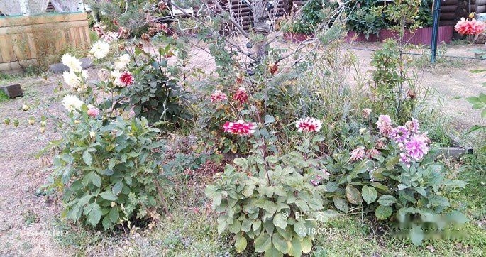 查看照片详细信息 天下民宿