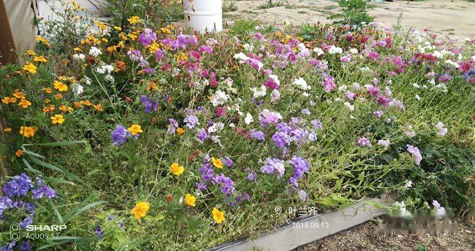 查看照片详细信息 天下民宿