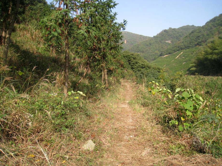 <b>竹马岭古道</b>