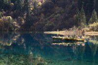 九黄四日游之D2