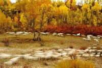 【大观楼】买“火花”