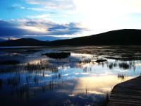 五月行之青甘川（三）