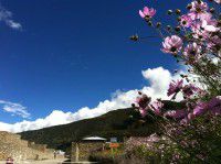 2005夏天西行两万里之游记!