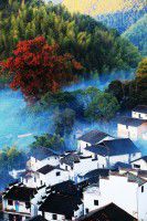 婺源及周边景区旅游考察报告