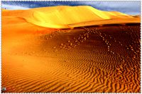 新疆北疆自然风情十日自助游及司机推荐