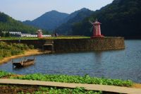 广州新机场快线线路及票价表