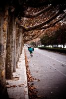 广州至洛阳西安自助游