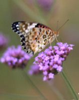 杭州西湖环山知多少