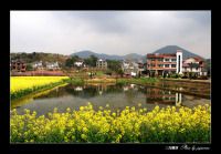 超级虎跑游记—巧遇高人(有图)