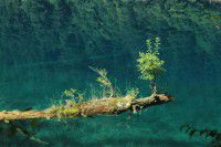 我的通话世界，像梦一般的旅程！