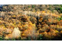 我的西安四天自助游