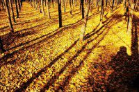 西安-延安-壶口-华山六晚七日游