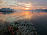 魂牵梦绕黄山行