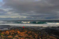 上海去西澳大利亚的玩法