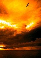 从海滨到海滨——海口、三亚5日行