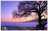 黑龙江 佳木斯旅游区 2日自助游