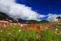 07暑假川藏、尼泊尔28天行 [川藏篇] DAY10：八一—工布江达—墨竹工卡—拉萨