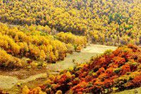 云南骗游人八招