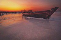 乐岛文化演出活动及海洋动物表演时间计划表