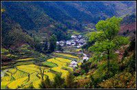 2008三月婺源凤凰旅行纪实