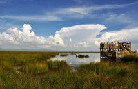 来到仙境把希望留在这块土地上