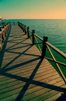 我把“第一次”献给了上海