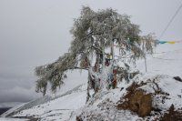 成都的那些酒吧呀~~