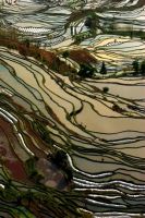 高山流水古琴台