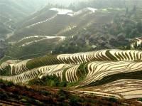 桂林阳朔冬日游记之六