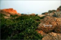 情侣5天4晚的甜蜜假期