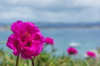 美丽的三亚(吃住玩与注意事项）