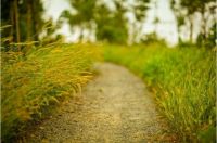 上海出发，大连-青岛四日半三飞自助游！----CHICLY