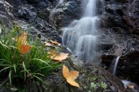 国庆驾驶新花冠杭州－台州二日行流水帐