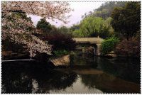 武义，仙都自驾游功略（上海出发）