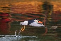 烟台自助游－崆峒岛