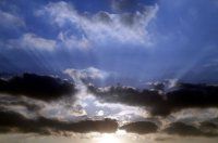 朱家角休闲一日游