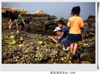 山东烟台游---海鲜那叫那个鲜啊