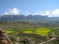 五月行之青甘川（二）