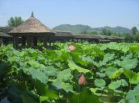 重庆大足石刻自助游全攻略