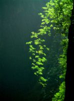 仙女山之行重庆游记攻略