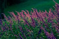 我的经济实惠美美西湖二人游