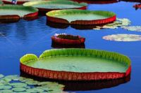 金山城市沙滩自驾游攻略