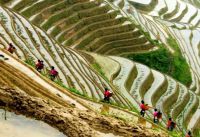 桂林、阳朔龙脊的4天全攻略（200707）